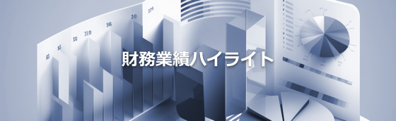 財務業績ハイライト
